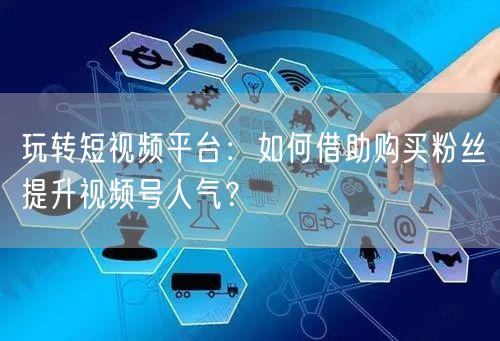 玩转短视频平台：如何借助购买粉丝提升视频号人气？