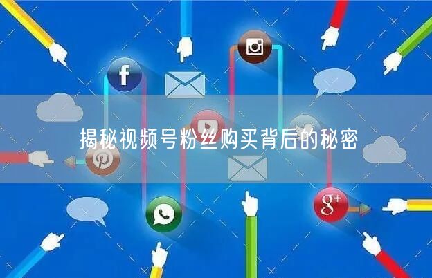 揭秘视频号粉丝购买背后的秘密
