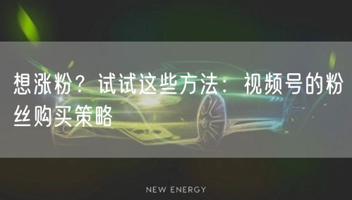 想涨粉？试试这些方法：视频号的粉丝购买策略