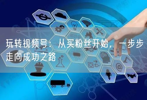 玩转视频号：从买粉丝开始，一步步走向成功之路