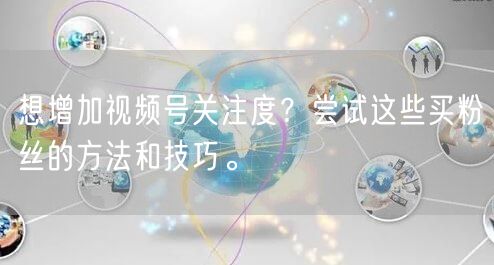 想增加视频号关注度？尝试这些买粉丝的方法