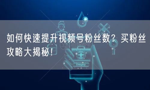 如何快速提升视频号粉丝数？买粉丝攻略大揭