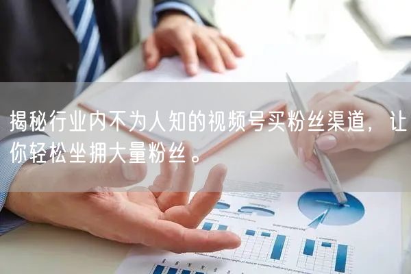 揭秘行业内不为人知的视频号买粉丝渠道，让你轻松坐拥大量粉丝。