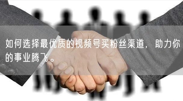 如何选择最优质的视频号买粉丝渠道，助力你的事业腾飞。