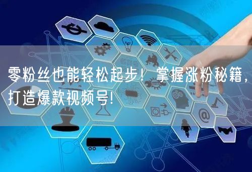 零粉丝也能轻松起步！掌握涨粉秘籍，打造爆