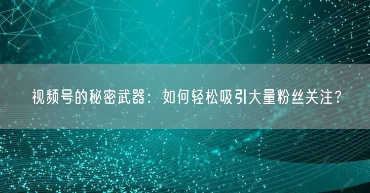 视频号的秘密武器：如何轻松吸引大量粉丝关