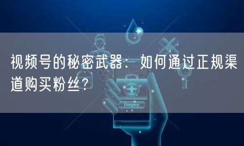 视频号的秘密武器：如何通过正规渠道购买粉丝？