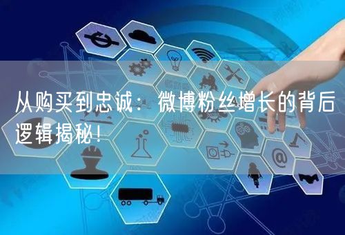从购买到忠诚：微博粉丝增长的背后逻辑揭秘！